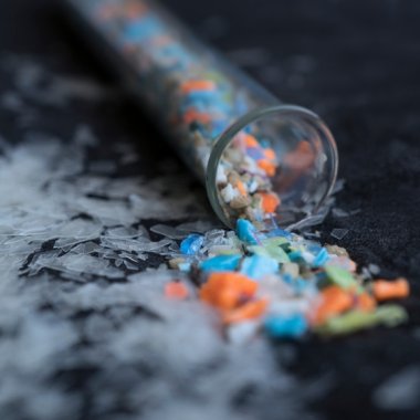 Cum pot florile și fructele să reducă efectele microplasticelor din corpul tău