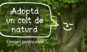 Fundația Conservation Carpathia invită elevii să Adopte un colț de natură