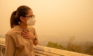 Despite decreasing in air pollution, air quality remains a risk for EU health