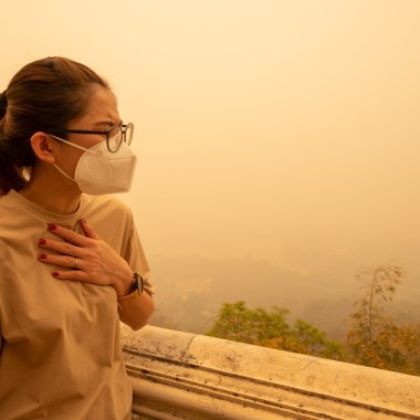 Despite decreasing in air pollution, air quality remains a risk for EU health