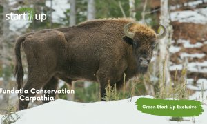 Conservation Carpathia gives Romania the largest national park in Central Europe