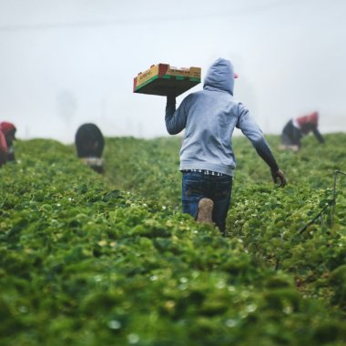 Fondul de $175 mil care vrea va pune pe masă alimente mai sustenabile