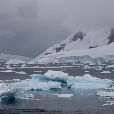 Bucăți de lemn plutitor ar putea ajuta la reînghețarea Oceanului Arctic