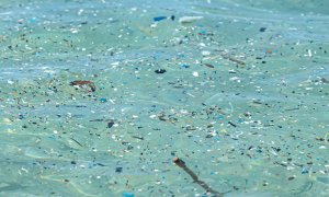 Buretele care poate să elimine microplastice