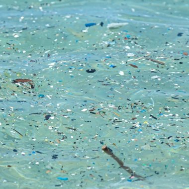 Buretele care poate să elimine microplastice