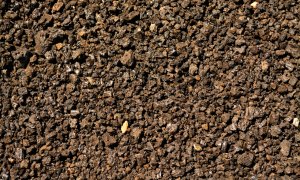 Mineralizarea carbonului ne ajută să avem un sol mai sănătos în mod sustenabil