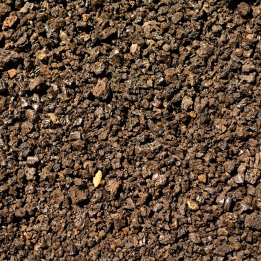 Mineralizarea carbonului ne ajută să avem un sol mai sănătos în mod sustenabil