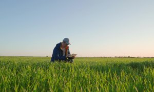 Pierdem terenurile agricole cât jumătate de Românie-n fiecare an. Cum arată agricultura viitorului?