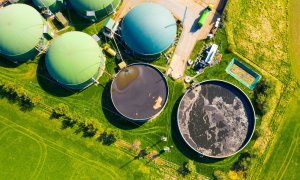 Această companie folosește biomasa pentru a produce combustibili „verzi”