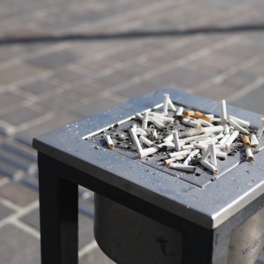 România ar putea rata acest obiectiv de sustenabilitate al Uniunii Europene
