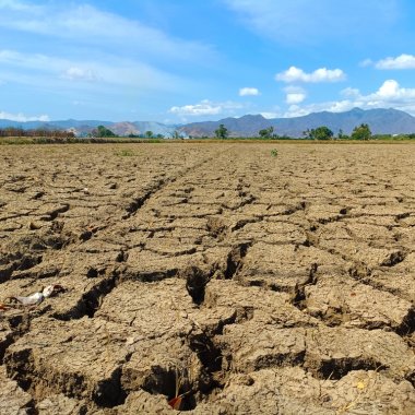 Extreme weather events: drought, the unstoppable danger we can adapt to