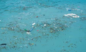 Cum afectează microplasticele capacitatea oceanului de a capta carbonul