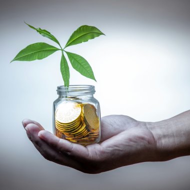 80% dintre Mileniali și Generația Z vor să crească investițiile sustenabile