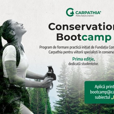 Fundația Conservation Carpathia lansează programul Conservation Bootcamp