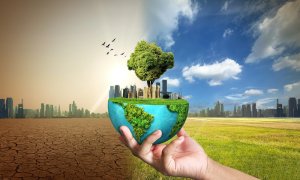 Patru moduri prin care schimbările climatice ne fac viața mai grea