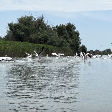 Cum contribuie 5G-ul la protejarea naturii și a comunităților din Delta Dunării