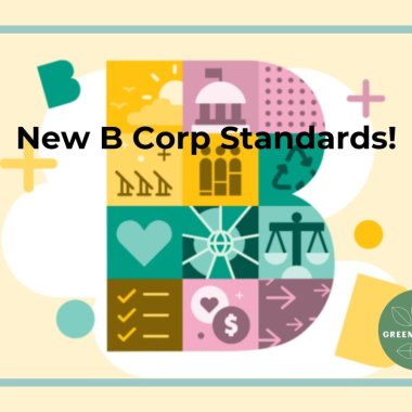 Cum se pregătesc companiile din România pentru noile standarde B Corp