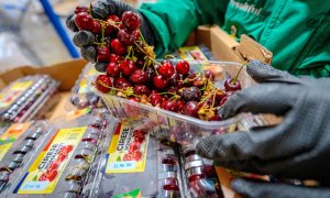 Freshful: românii cer cu 40% mai multe fructe și legume eco față de anul trecut