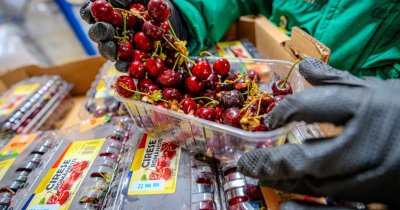Freshful: românii cer cu 40% mai multe fructe și legume eco față de anul trecut