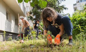 Finanțarea de 650.000 RON care transformă Bucureștiul într-un oraș sustenabil