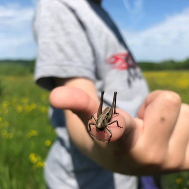 Ce este proiectul „Educație cu vedere la natură” de la Colinele Transilvaniei și cum ajută copiii