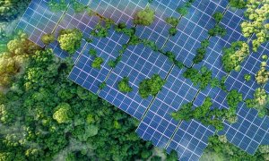 R.Power construiește un parc fotovoltaic de 55 MWp în Satu Mare