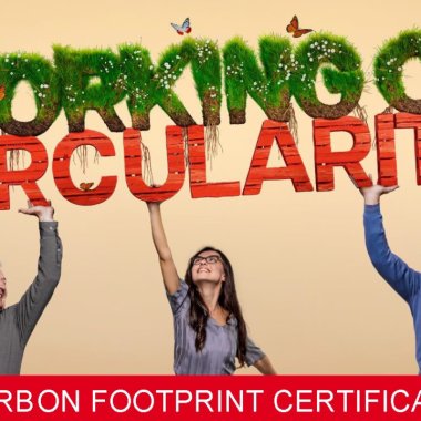 Cum folosește Kaufland lădițe pentru a reduce amprenta de carbon