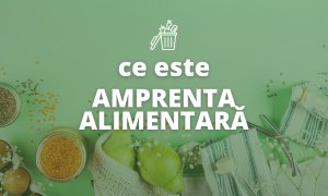 Ce este amprenta alimentară și de ce o friptură de vită ne costă pe toți 9 tone de apă