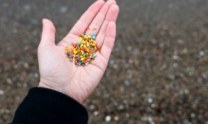 Microplasticele: cum arată viața particulelor care există peste tot