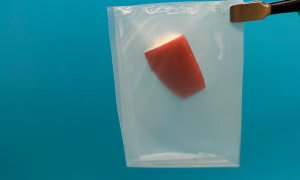 Materialul inovator care poate duce piața bioplasticului la o valoare de $44 mld