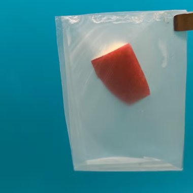 Materialul inovator care poate duce piața bioplasticului la o valoare de $44 mld