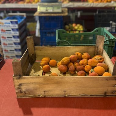 Cum folosește proiectul Gospodari la Obor alimentele și legumele care au expirat