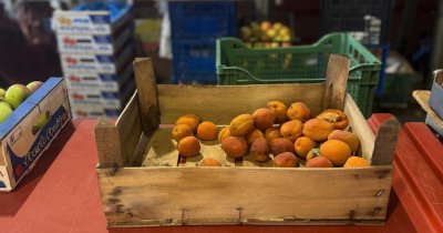 Cum folosește proiectul Gospodari la Obor alimentele și legumele care au expirat