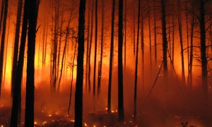 Incendiile de pădure ucid direct puțini oameni, dar fumul adaugă 1,5 milioane de victime anual