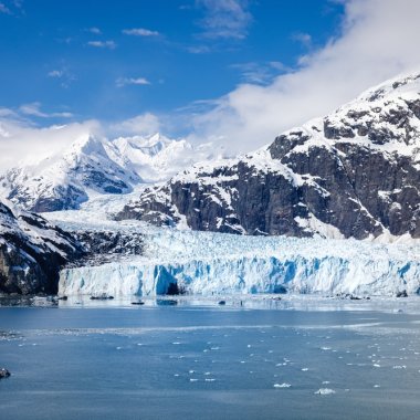 Viața invizibilă de pe gheață care contribuie la topirea glaciară