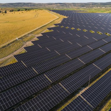 Cum se transformă una dintre cele mai mari fabrici de bere din România în companie sustenabilă