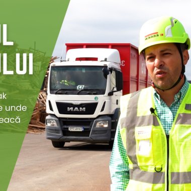 Drumul lemnului | De la palet la mobilă nouă. Reportaj la EGGER Timberpak Cernica