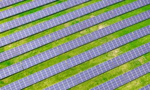 Venituri de 193 mil. lei pentru Simtel în primul semestru din 2025