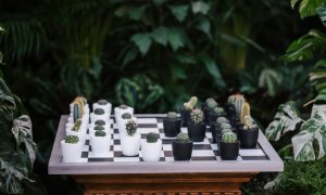 Agricultura viitorului: plante rezistente dezvoltate pentru spațiu și Pământ