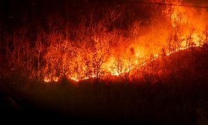 Criza climatică și incendiile de vegetație: cum afectează fulgerele comunitățile