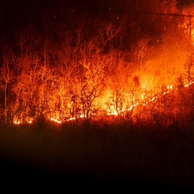 Criza climatică și incendiile de vegetație: cum afectează fulgerele comunitățile