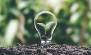 Procesul inspirat din natură care ne oferă combustibili cu impact minim asupra planetei