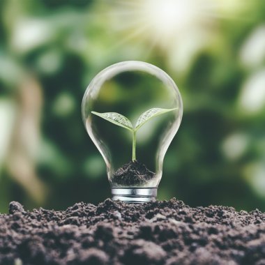 Procesul inspirat din natură care ne oferă combustibili cu impact minim asupra planetei