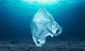 Bioplastic solubil în câteva ore: cum poate salva ecosistemele marine