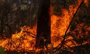 Incendii record în UE, agravate de lipsa pompierilor profesioniști