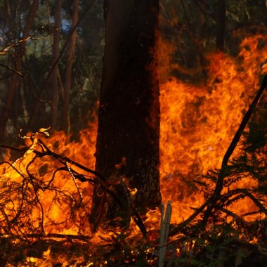 Incendii record în UE, agravate de lipsa pompierilor profesioniști