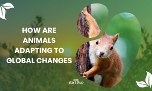 Climate adaptation: 8 animal species that defy planet-warming temperatures