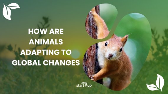 Climate adaptation: 8 animal species that defy planet-warming temperatures