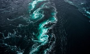 Un ciclu natural din Oceanul Pacific, întrerupt pentru prima dată în 4 decenii