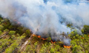 Fumul incendiilor canadiene a ucis peste 22.000 de persoane în Europa